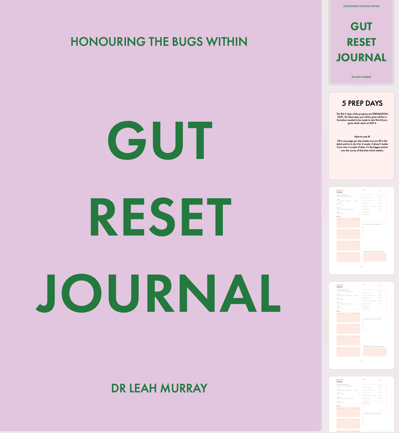 Gut Reset Journal eBook